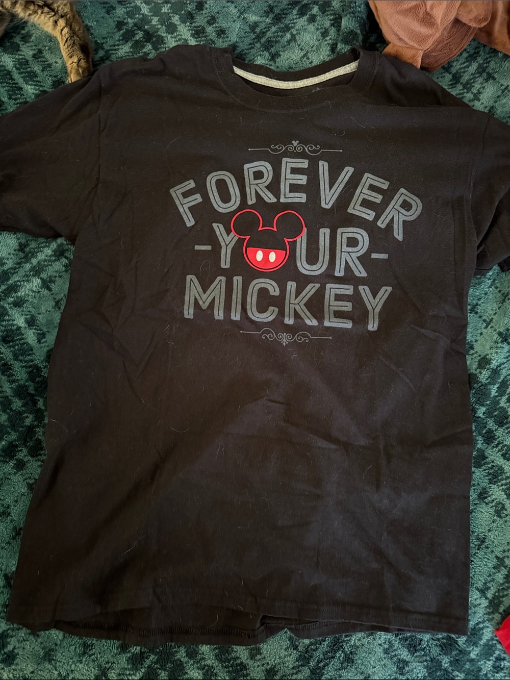 Hanes Black Disney Parks Graphic Tee with Red Logo